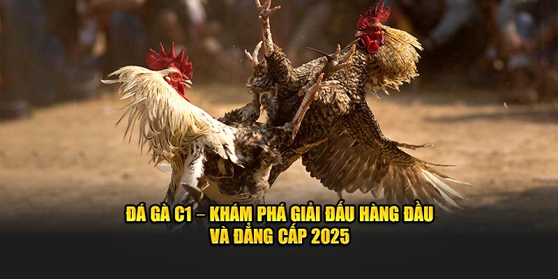 Đá Gà C1 – Khám Phá Giải Đấu Hàng Đầu Và Đẳng Cấp 2025
